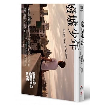 废墟少年：被遗忘的高风险家庭孩子们 pdf epub mobi 电子书 下载