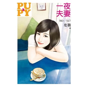 一夜夫妻 pdf epub mobi 电子书 下载