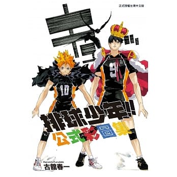 排球少年!!公式彩图集 全 pdf epub mobi 电子书 下载