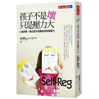 孩子不是坏，只是压力大：5个步骤，教出孩子迎战未来的调整力 pdf epub mobi 电子书 下载
