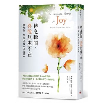 转念瞬间，喜悦无处不在：当拜伦‧凯蒂遇见《道德经》 pdf epub mobi 下载