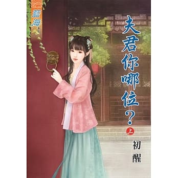 夫君你哪位？上 pdf epub mobi 电子书 下载