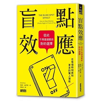 盲点效应：从此不再错过眼前对的选择 pdf epub mobi 电子书 下载