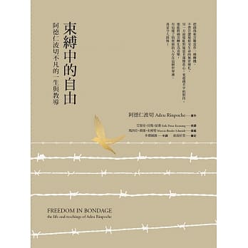 束缚中的自由：阿德仁波切不凡的一生与教导 pdf epub mobi 下载
