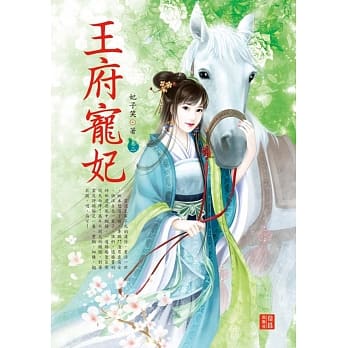 王府宠妃2 pdf epub mobi 下载