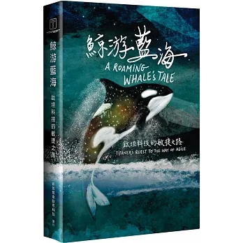 鯨游藍海：鈦坦科技的敏捷之路 pdf epub mobi 电子书 下载