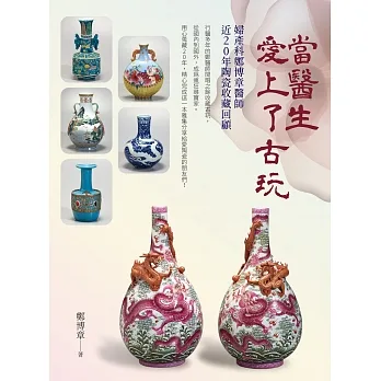 當醫生愛上了古玩 pdf epub mobi 电子书 下载