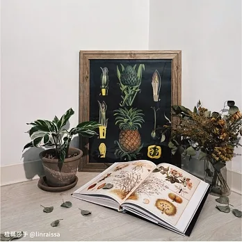 復古植物藝術海報 pdf epub mobi 电子书 下载
