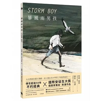 暴風雨男孩（兒童文學經典‧國際安徒生大獎插畫家羅伯‧英潘版） pdf epub mobi 电子书 下载