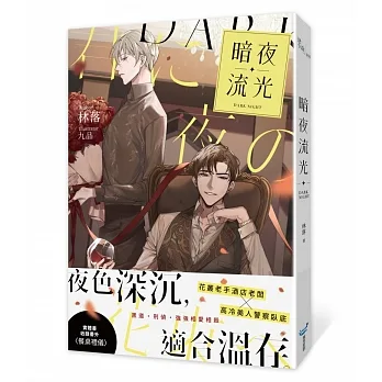暗夜流光 pdf epub mobi 电子书 下载