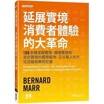 延展實境｜消費者體驗的大革命 pdf epub mobi 电子书 下载