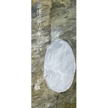 壞掉的少年 pdf epub mobi 电子书 下载