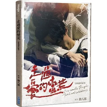 走過愛的蠻荒：影視創作紀實 pdf epub mobi 电子书 下载