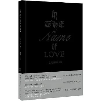 In the Name of Love 以愛之名 pdf epub mobi 电子书 下载