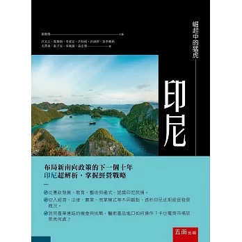 崛起中的猛虎：印尼 pdf epub mobi 电子书 下载