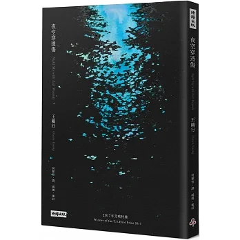 夜空穿透傷 pdf epub mobi 电子书 下载