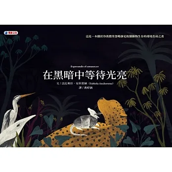 在黑暗中等待光亮 pdf epub mobi 电子书 下载