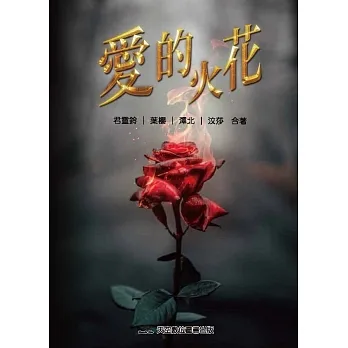 愛的火花 pdf epub mobi 电子书 下载