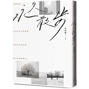 永久散步 pdf epub mobi 电子书 下载