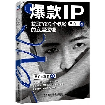 爆款IP：獲取1000個鐵粉的底層邏輯 pdf epub mobi 电子书 下载