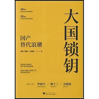 大國鎖鑰：國產替代浪潮 pdf epub mobi 电子书 下载