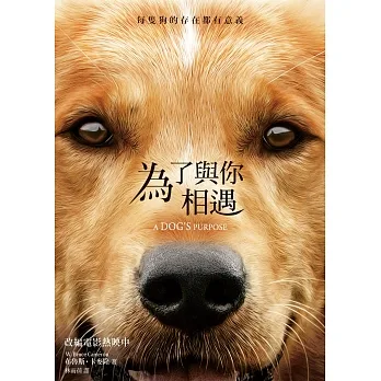 為了與你相遇 (電子書) pdf epub mobi 电子书 下载