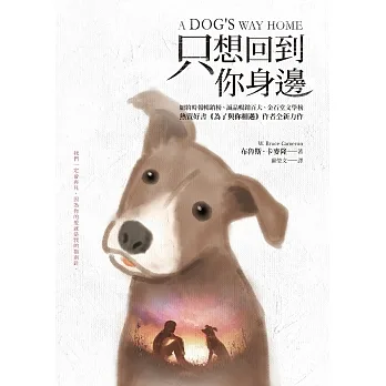 只想回到你身邊 (電子書) pdf epub mobi 电子书 下载