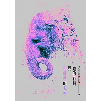 她的右腦與粉紅色的大象 (電子書) pdf epub mobi 电子书 下载